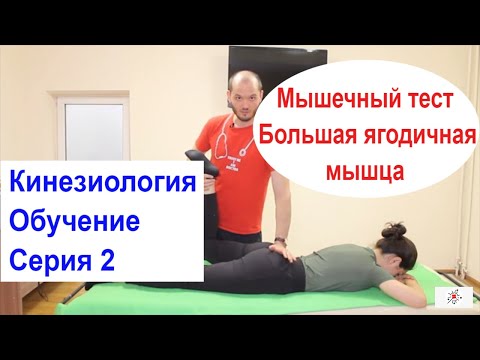 Видео: Тестирование ягодиц. Научись проверять тонус кинезиологически