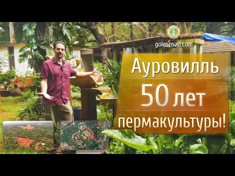 Видео: Ауровилль. 50 лет пермакультуры!