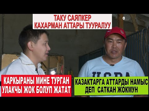 Видео: КАЗАКТАРГА АТТАРЫН САТПАГАН ТАТУ САЯПКЕР/ КАХАРМАНДЫН БАЛДАРЫНЫН БААСЫ КАНЧА?/ КАРКЫРА ОЮНГА ДАЯР