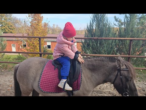 Видео: Первая езда Миланы на пони. Голодные козы экопарка