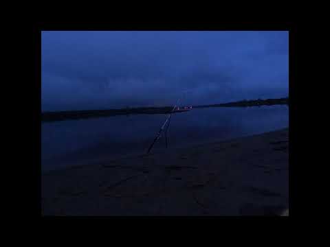 Видео: Налимчик