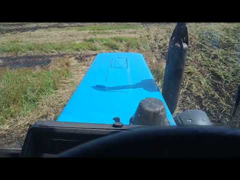 Видео: Два МТЗ 82, і два Руслана. Дискування стерні пшениці .