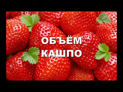 Видео: ОБЪЕМ КАШПО ДЛЯ КЛУБНИКИ