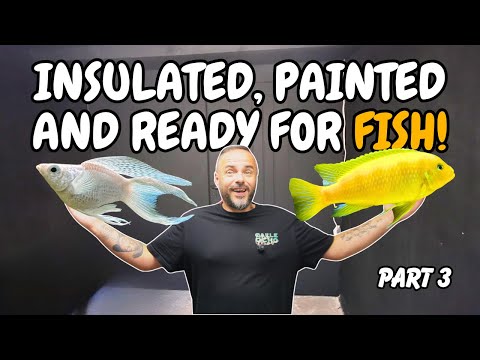 Видео: Комната для рыб и рептилий мечты: самодельный гараж! Часть 3