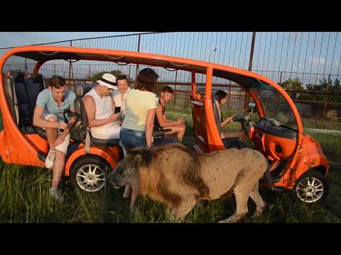 Видео: Встреча с Филей ,"бабахи" от Марселя ,ласкуша Мирон !