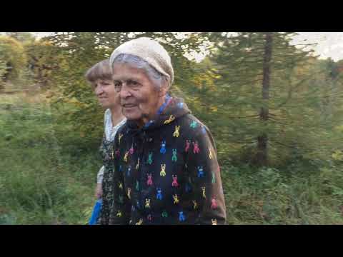 Видео: "Родовое поместье Лилии Васильевны", ПРП Ладное. Из серии "Мое Родовое поместье"