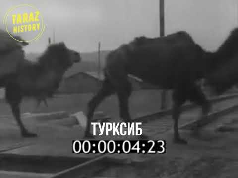Видео: Строительство ТУРКСИБА
