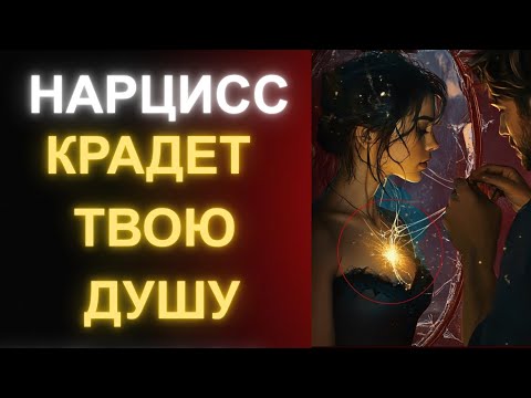 Видео: 8 Разрушительных Последствий Отношений С Нарциссом (Ты Должна Это Знать)