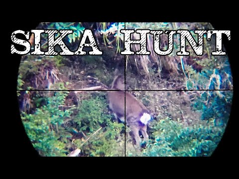 Видео: Конкурс Sika Foundation Hind PT1