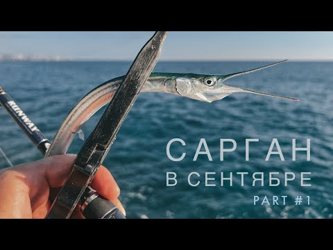 Видео: Сарган на спиннинг в сентябре. Part #1. Рыбалка на Черном море.