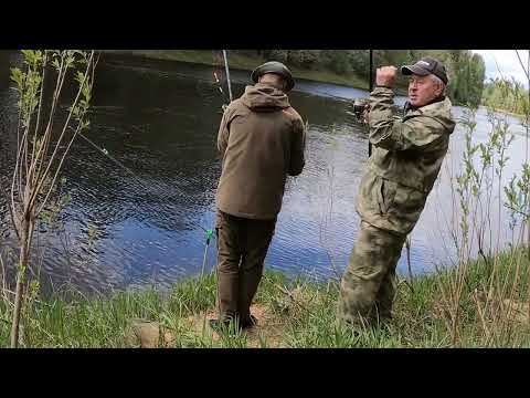 Видео: Лужская Уклейка. Клюёт как из пулемёта. Кингисепп, река Луга.