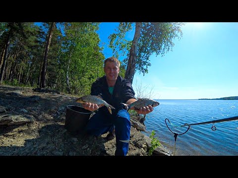Видео: РЫБАЛКА НА ФИДЕР в живописном месте. Плотва не давала скучать. Озеро Синара.