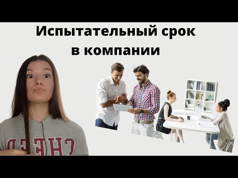 Видео: Испытательный срок. Что делать тестировщику в новой компании