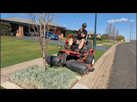 Видео: Весенняя уборка и подготовка двора к ремонту