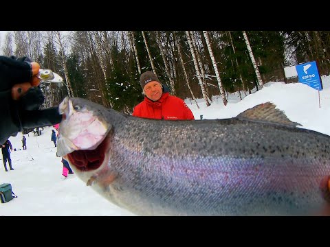 Видео: ЗА ФОРЕЛЬЮ В ЛОСИНЫЙ ОСТРОВ )