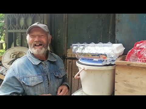 Видео: ОБЗОР ДЕРЕВЕНСКИХ ДОМОВ. КАК И ЧЕМ МОЖНО ПОМОЧЬ ЧЕЛОВЕКУ В ДЕРЕВНЕ??ПРОДАЖА КОЗЛЯТ ЦЕНА ОТ 30РУБЛЕЙ