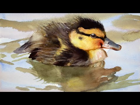 Видео: Рисование утенка акварелью за несколько простых шагов