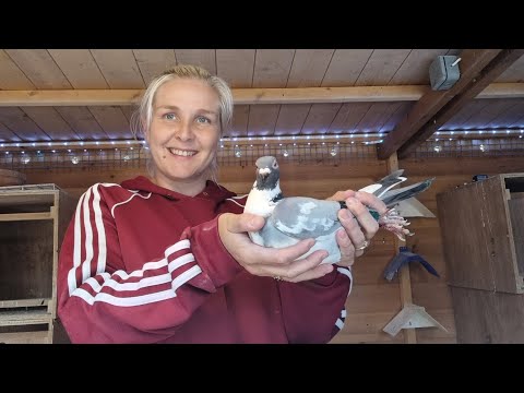 Видео: Последняя гонка сезона 2023 года