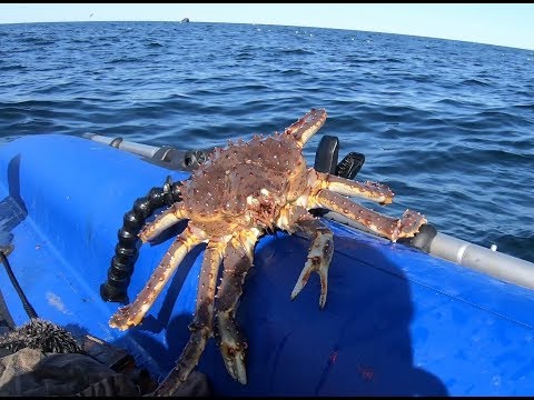 Видео: Морская рыбалка!Кильдин Восточный ! 6 мая 2019г