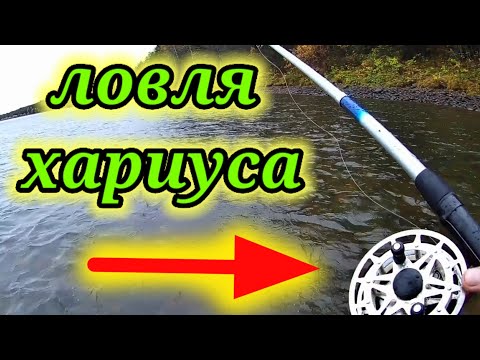 Видео: Ловля хариуса на МУТЬ 👆. Рыбалка на реке Бия.