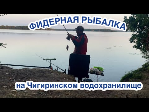 Видео: Поклевка на каждом забросе, фидерная рыбалка на Чигиринском водохранилище