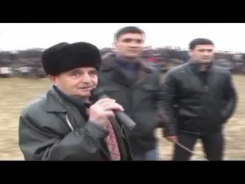 Видео: Турнир Тест Испытаний Туркмениских Алабаев.  Мары Мургап.  Знаменитый Гокдже сильный Алабай.