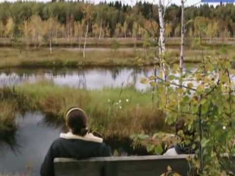 Видео: не торопись говорить о том,что счастья нет.mp4