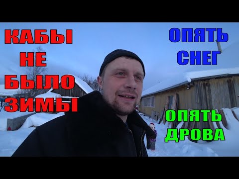 Видео: Снегопад((( чистим снег и колем дрова
