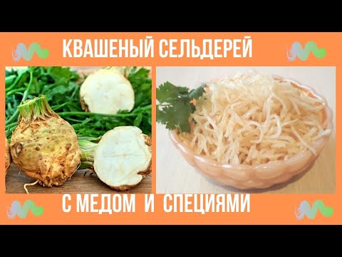 Видео: Сельдерей квашеный с медом и специями.