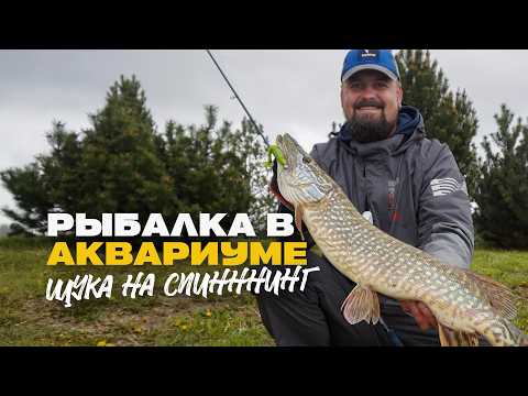 Видео: Рыбалка в Аквариуме Щука на Спиннинг Силикон и Вертушки