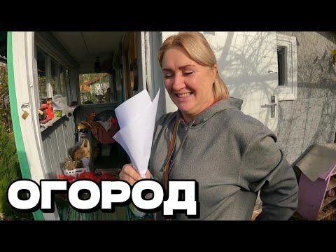 Видео: ОГОРОД в конце октября. Латвия