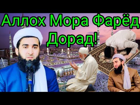 Видео: Се Гурух Да Лаънати Аллох .Мавлоно Ахмад