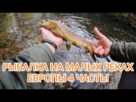 Видео: Закрыл сезон по ФОРЕЛЕ, получилось круто, смотри и кайфуй!#fishing #troutfishing #forellenangeln