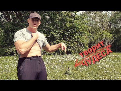 Видео: Комплекс "Стальная Хватка" - ЛУЧШИЙ ВАРИАНТ ТРЕНИРОВКИ ИЗ ВСЕХ !