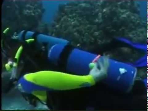 Видео: PADI. 2й-Урок. Дайвинга.