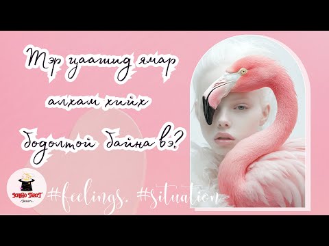 Видео: [Хайрын мэргэ] Тэр цаашид ямар үйлдэл хийх төлөвлөгөөтэй байна вэ?🤍🩵💙❤️🤎🖤🩶💔❤️‍🔥❤️‍🩹