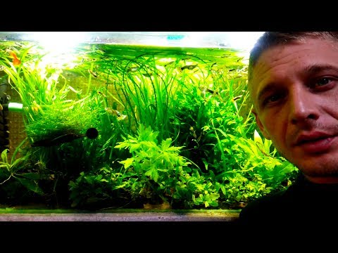 Видео: ГУППЯТНИК 100 ЛИТРОВ!!!