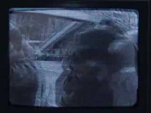Видео: Мумий Тролль — Хищник