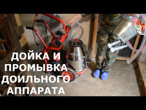 Видео: Доильный аппарат для коз Меласти. Дойка и промывка.