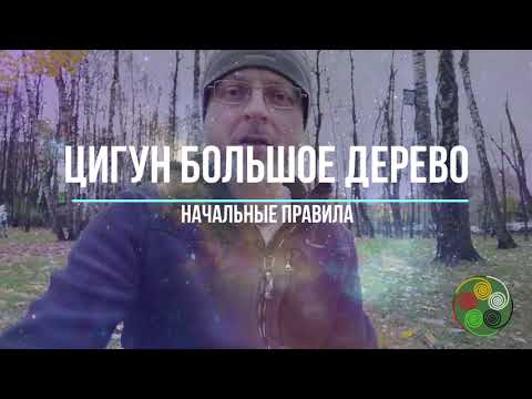 Видео: Цигун «Большое дерево» или «Стояние столбом» (Чжан Чжуан)