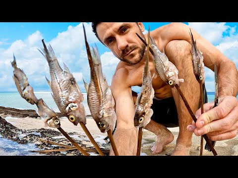Видео: 24 ЧАСА ВЫЖИВАНИЕ НА ОСТРОВЕ С НОВЫМ ПРЕДМЕТОМ ALIEXPRESS. В ПОИСКАХ ЕДЫ [4K]