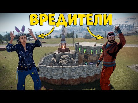 Видео: ВРЕДИТЕЛИ! КАК ПРЕВРАТИТЬ ЖИЗНЬ клановых игроков В АД! CheZee @SH4RKJK  Rust | Раст