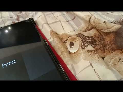 Видео: HTC взорвался