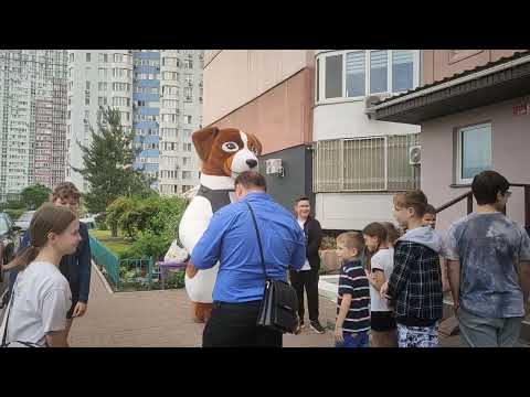 Видео: **Замовте Надувного Пса Патрона на Експрес-Привітання у Києві та області!** 🐾
