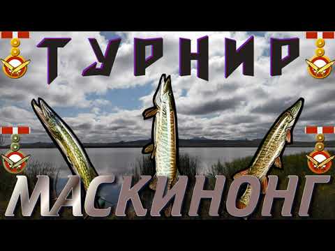 Видео: ТУРНИР🏆 "МАСКИНОНГ".ТИПА ГАЙД!~|рр3 2022|~