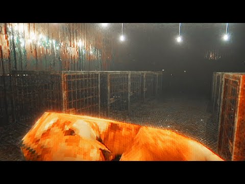 Видео: НАМЕРИХМЕ ИЗГУБЕНОТО НИ КУЧЕ