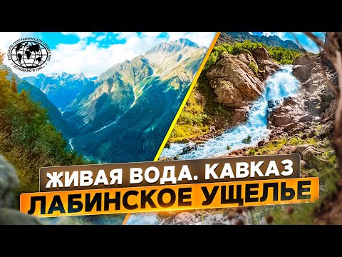 Видео: Живая вода. Кавказ | @rgo_films | Лабинское ущелье