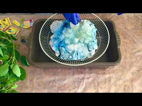 Видео: Окрашивание со льдом в технике Тай Дай красителями для ткани! 🌈 Tie Dye! #мастерклассТайДай #TieDye