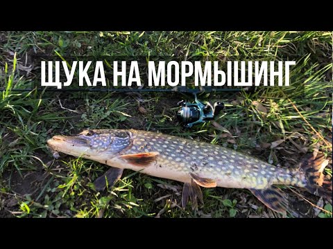 Видео: МОНСТР КЛЮНУЛ НА МОРМЫШКУ! Мормышинг в центре города