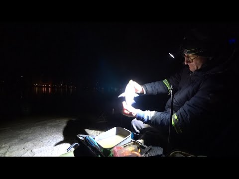 Видео: Північний міст 🌉  Як стемніло і діло пішло!!! Нічна риболовля 🌙
